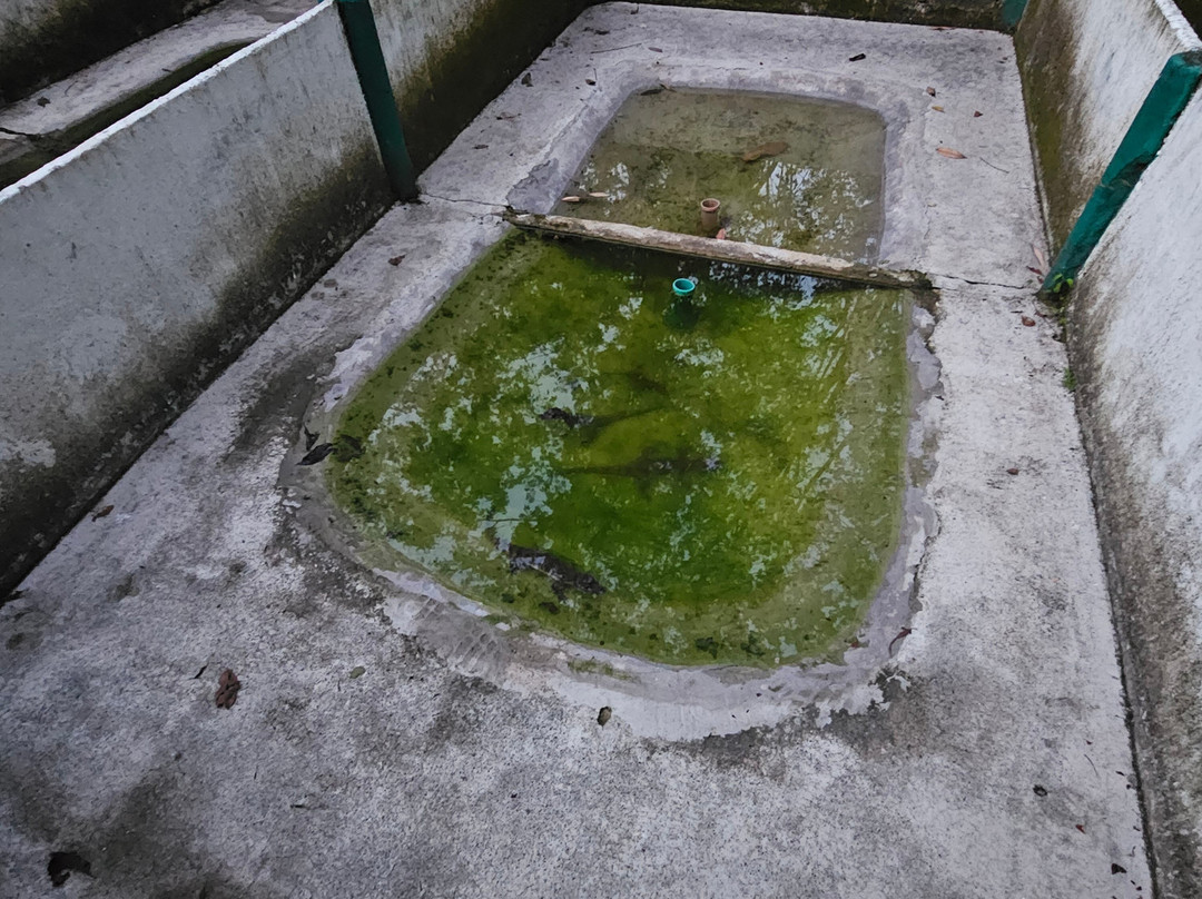 Parque Ecologico Ciudad Reptilia-Melgar必去景点