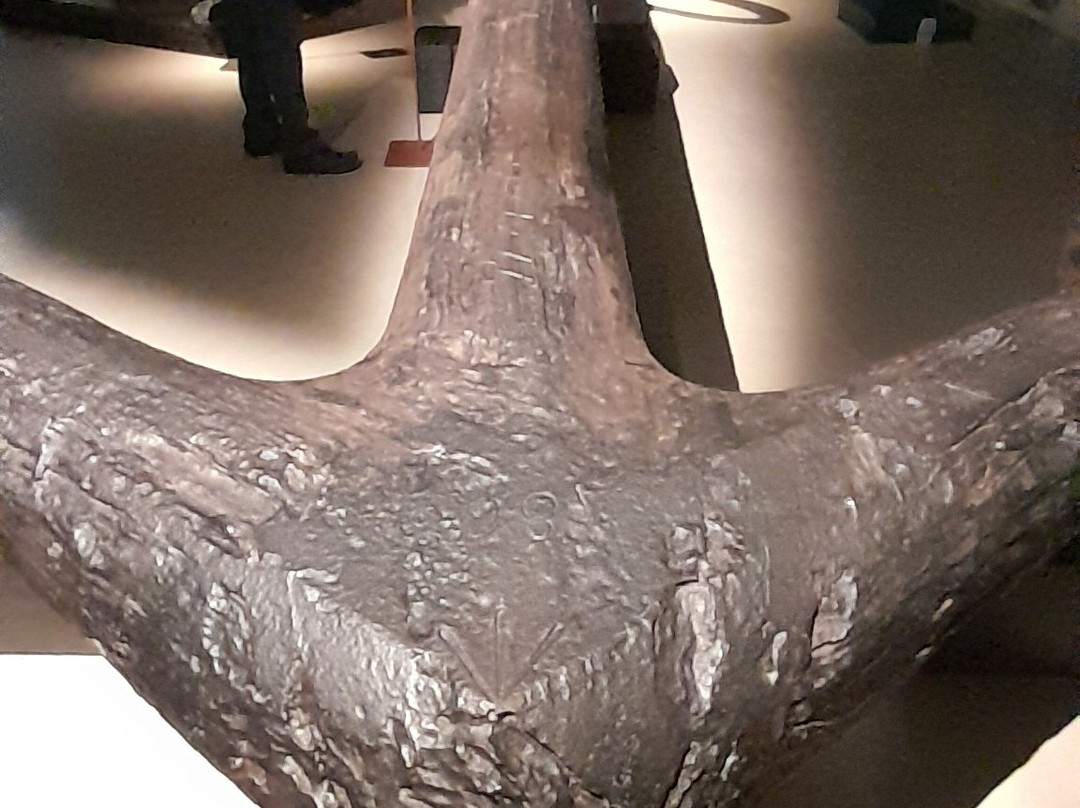 Strandingsmuseum St. George景点图片