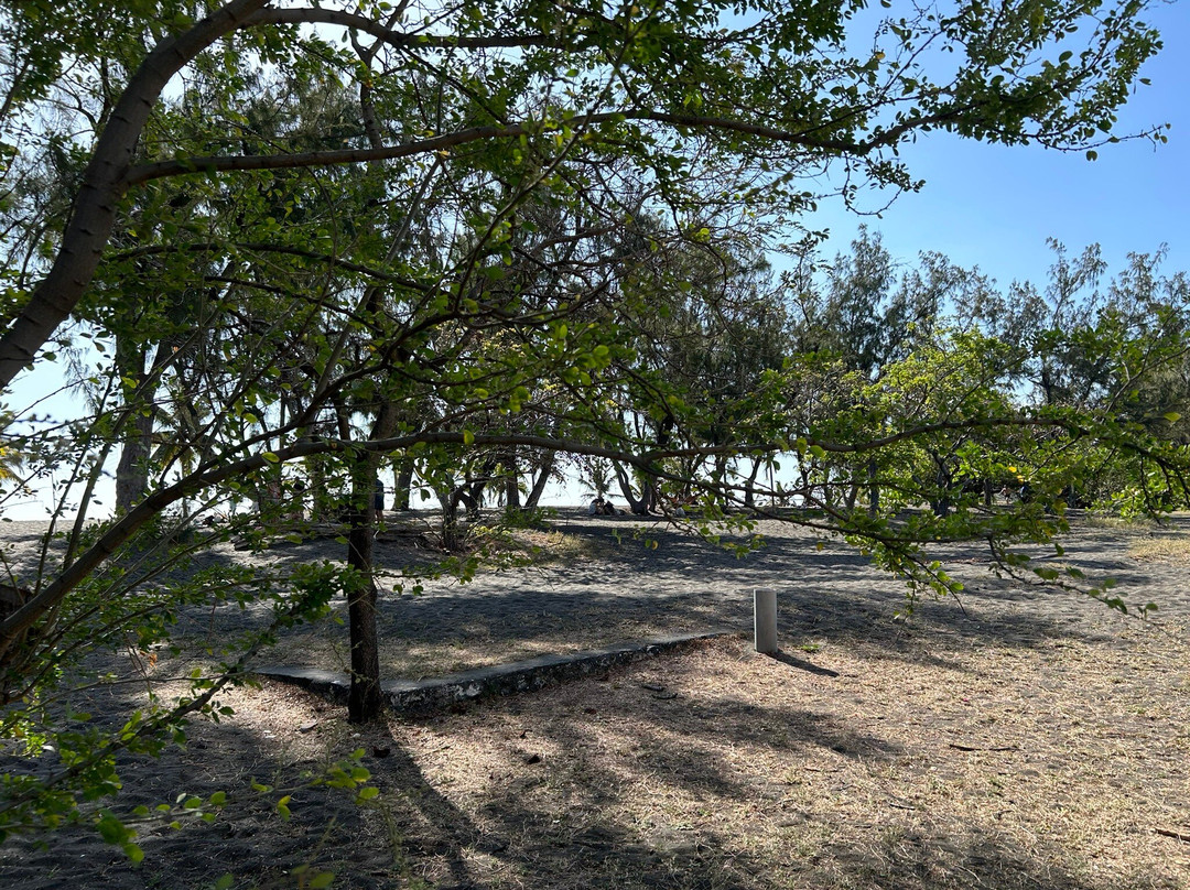 Plage De L'étang Salé景点图片