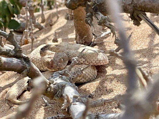 O'kevo Adventures-斯瓦科普蒙德必去景点