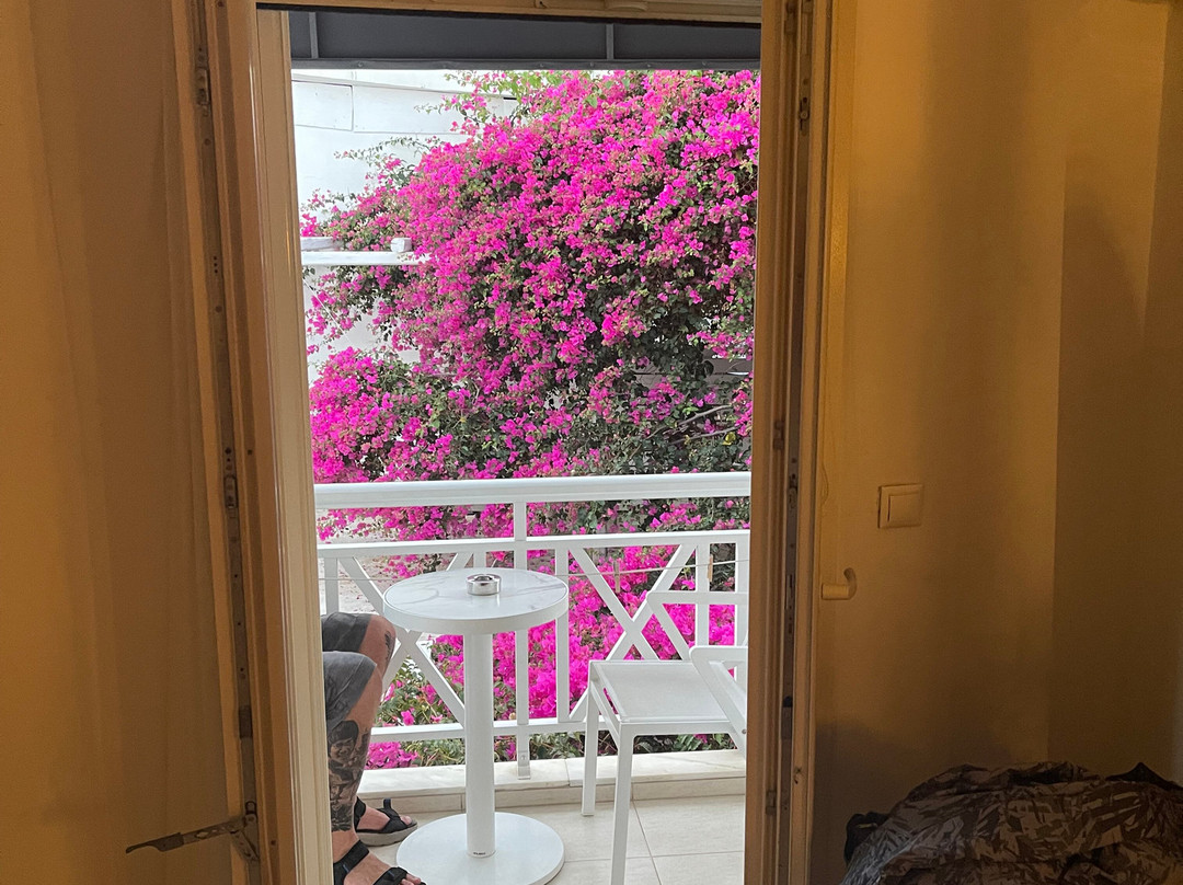 阿波罗精品酒店主图