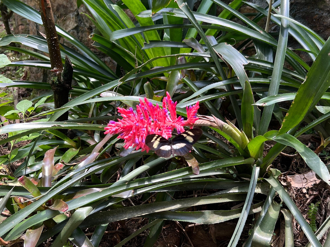 Reserva Natural Nirvana景点图片