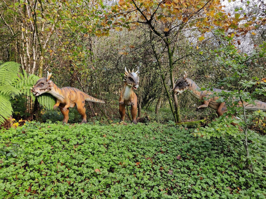 The National Showcaves Centre for Wales景点图片
