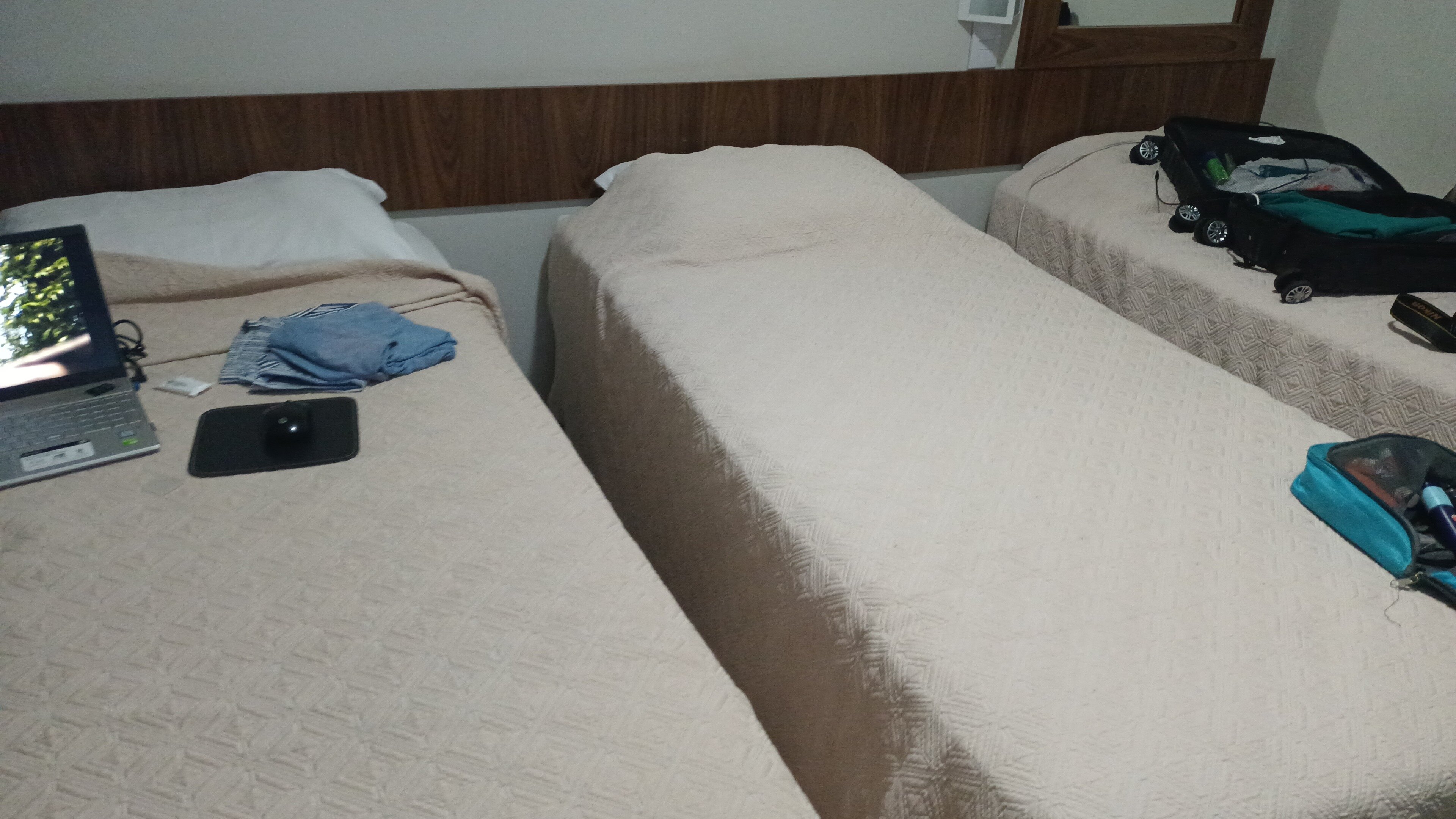 Hotel Fernandao-官方