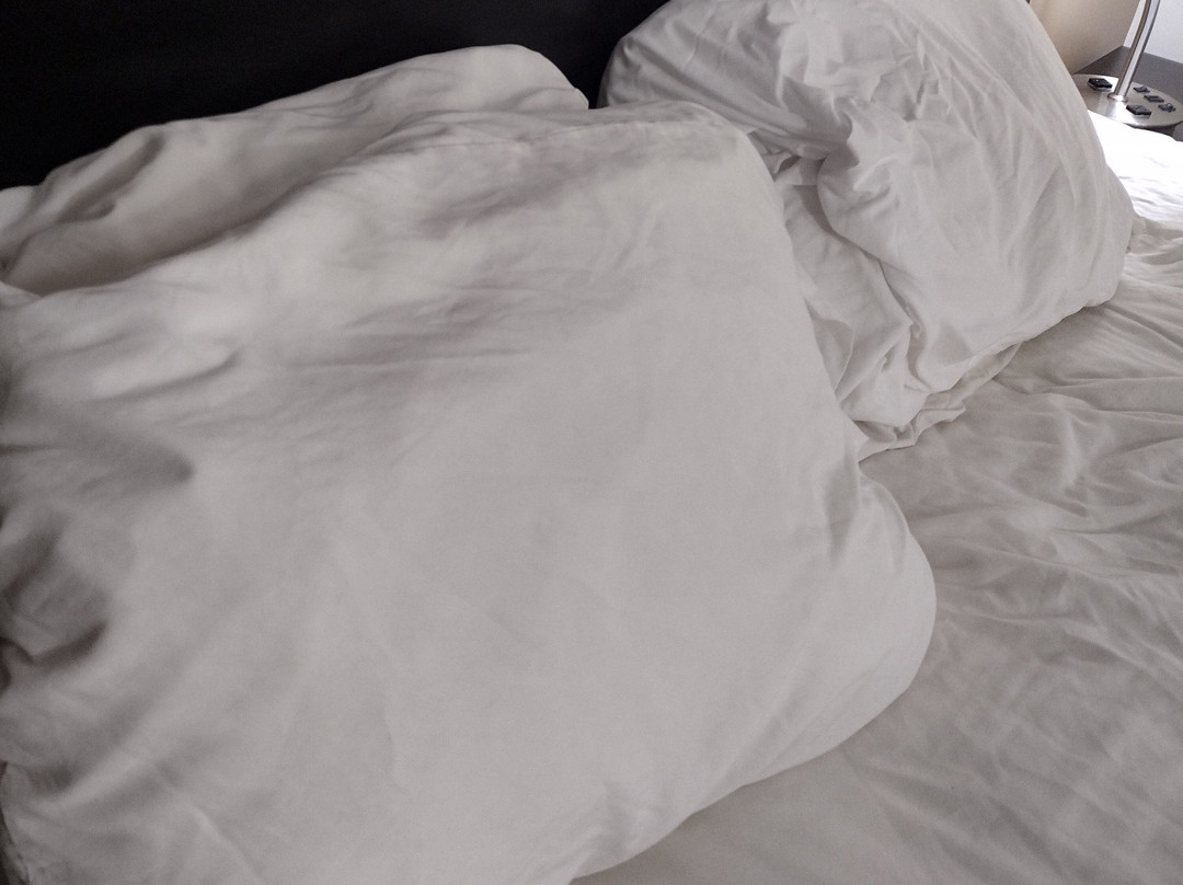 Quality Inn Decherd主图