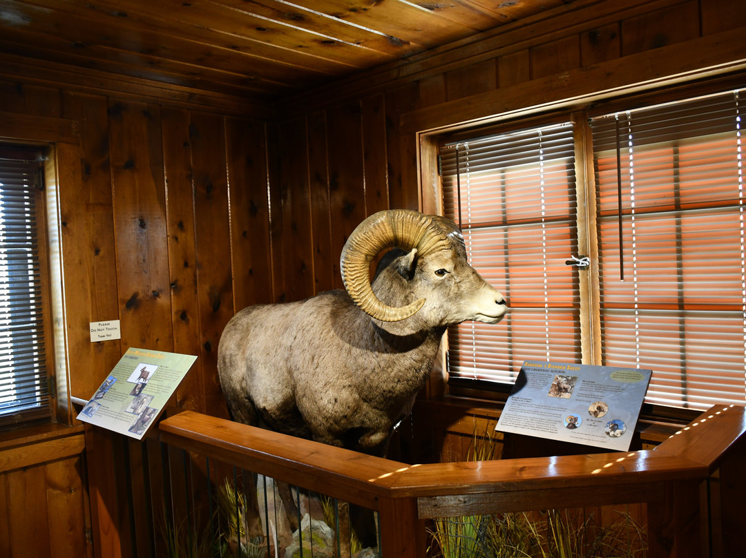 Custer State Park Wildlife Station Visitor Center-Hermosa必去景点