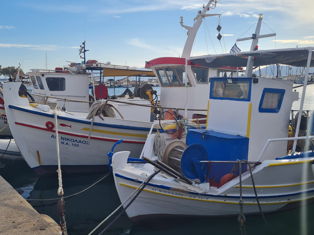 Aegina Waterfront景点图片
