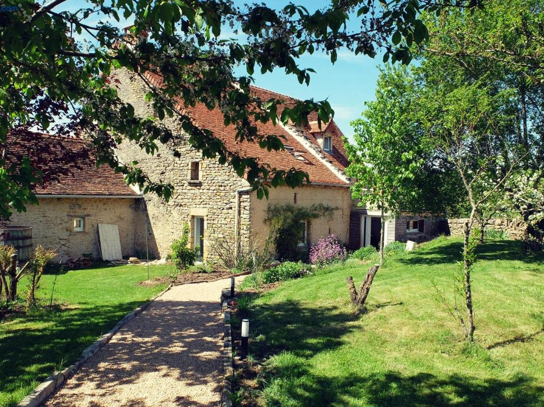 Le The Au Jardin