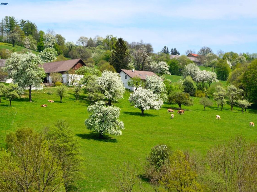 Ferienwohnung Vonwald