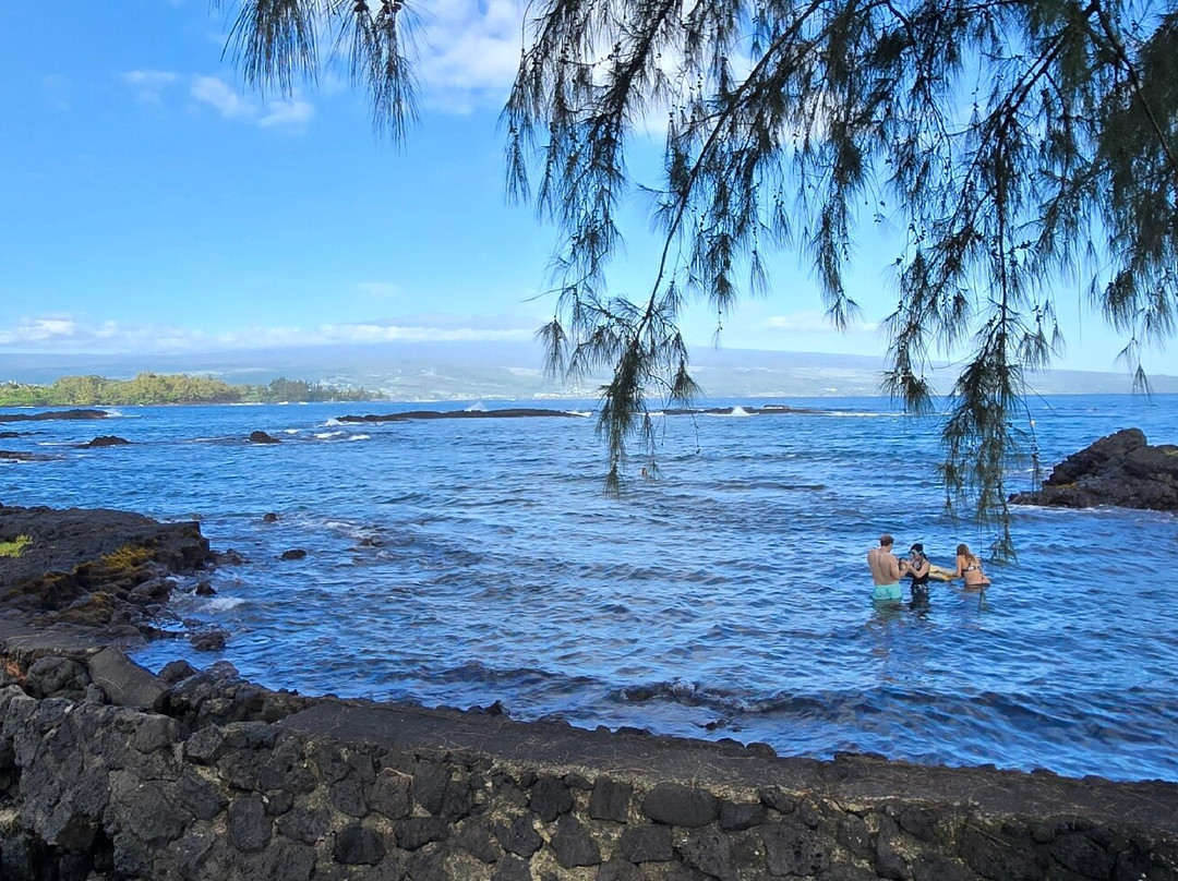 Hilo Guitars and Ukuleles-希洛必去景点