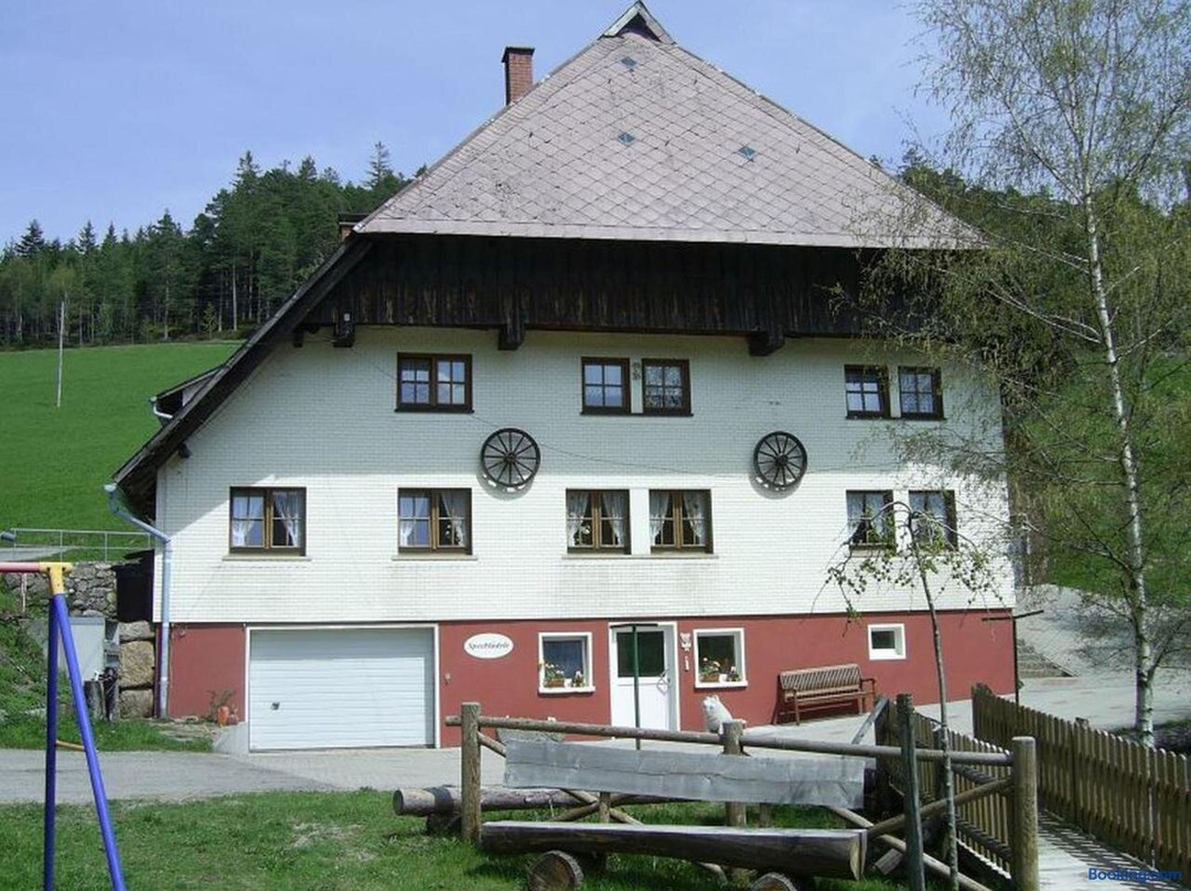 Hornberg酒店住宿-Hinterhauensteinhof