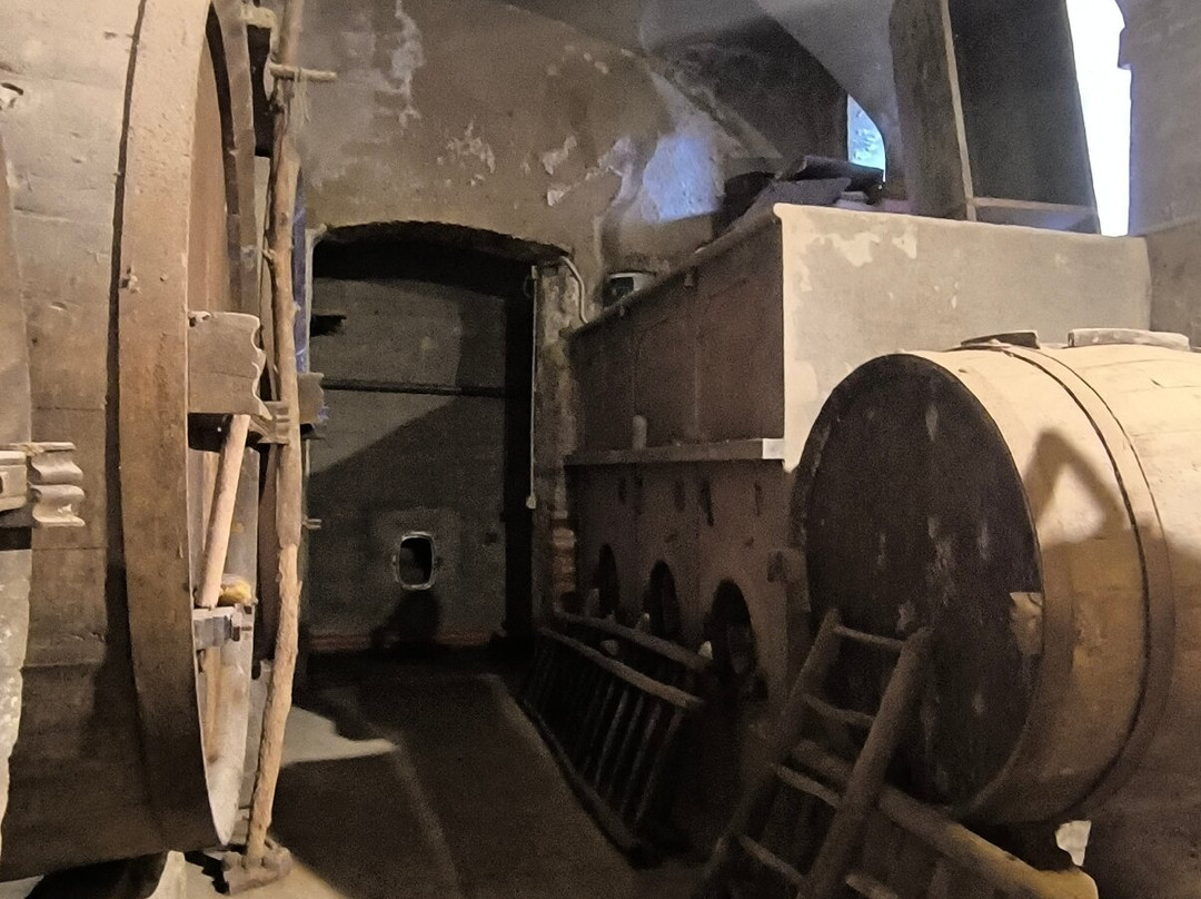 Visita Guidata Degli Infernot Di Rosignano Monferrato景点图片