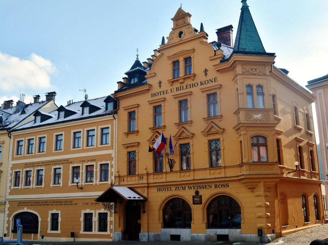 Horni Slavkov酒店住宿-Hotel U Bileho kone