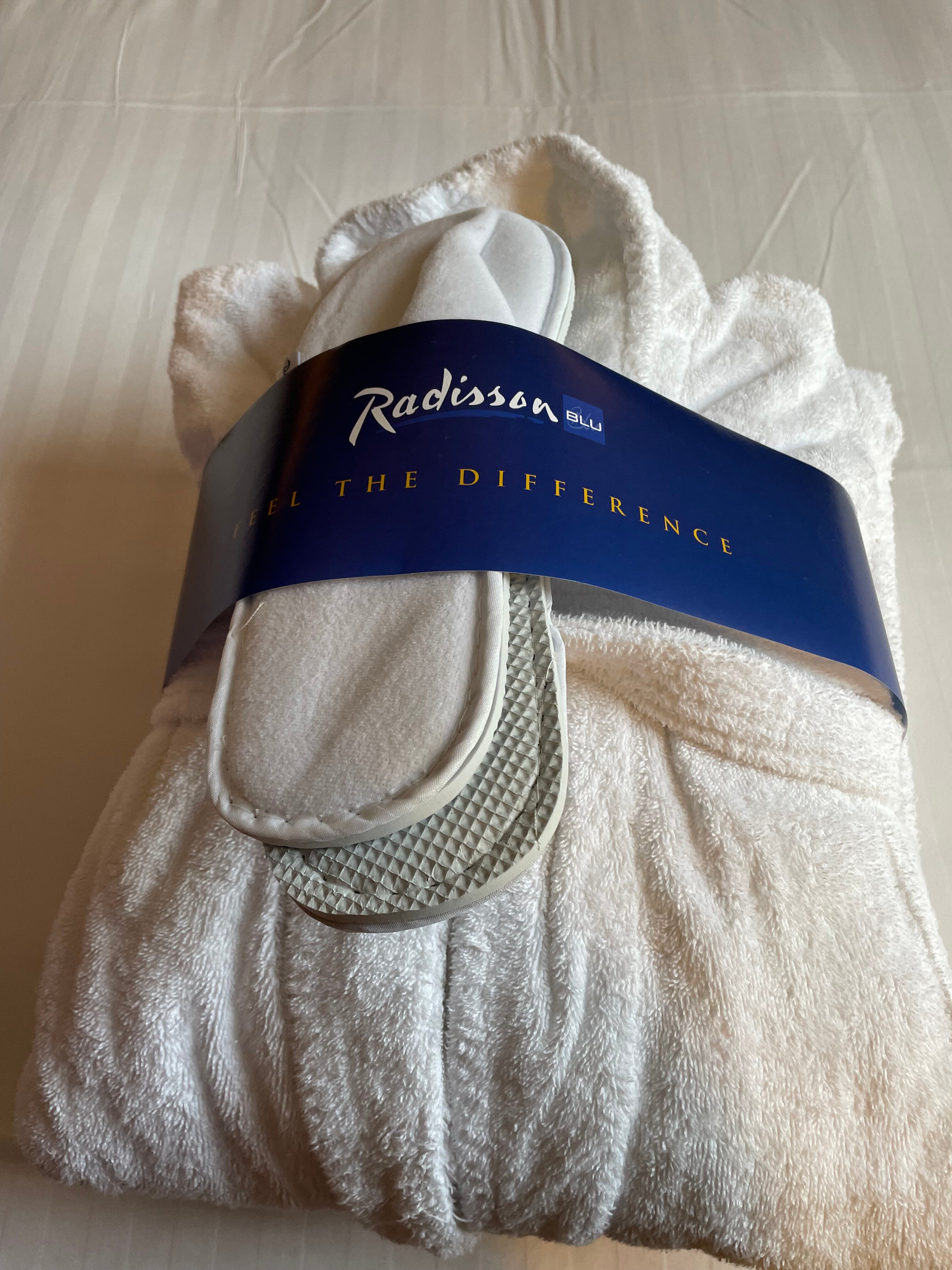 Radisson Blu Hotel, Rouen Centre-客卧