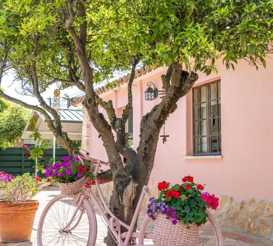 Quinta Aida