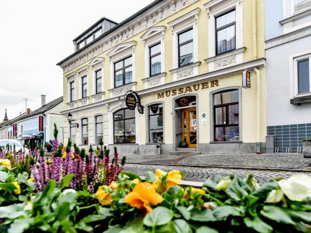 Raabs an der Thaya旅游攻略图片