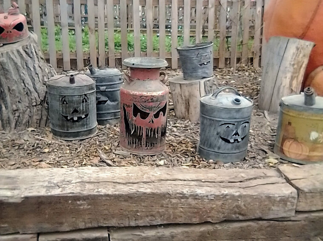 Vala's Pumpkin Patch-Gretna必去景点