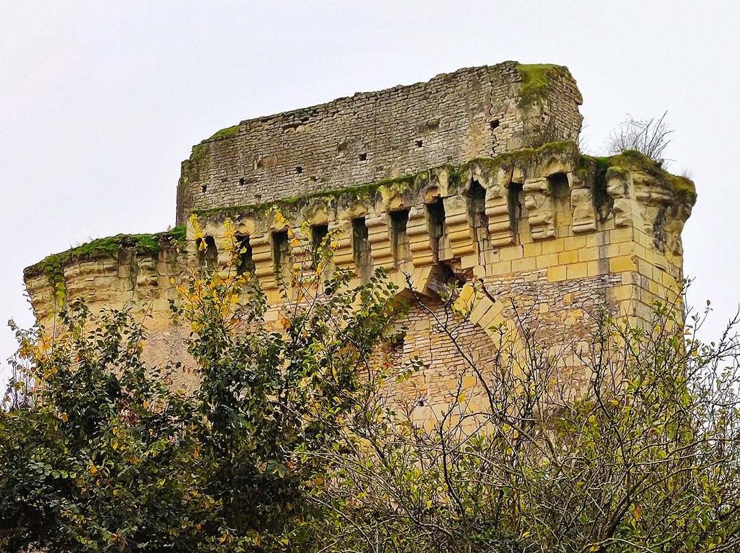 Château Du Bois Gourmond À Loudun景点图片