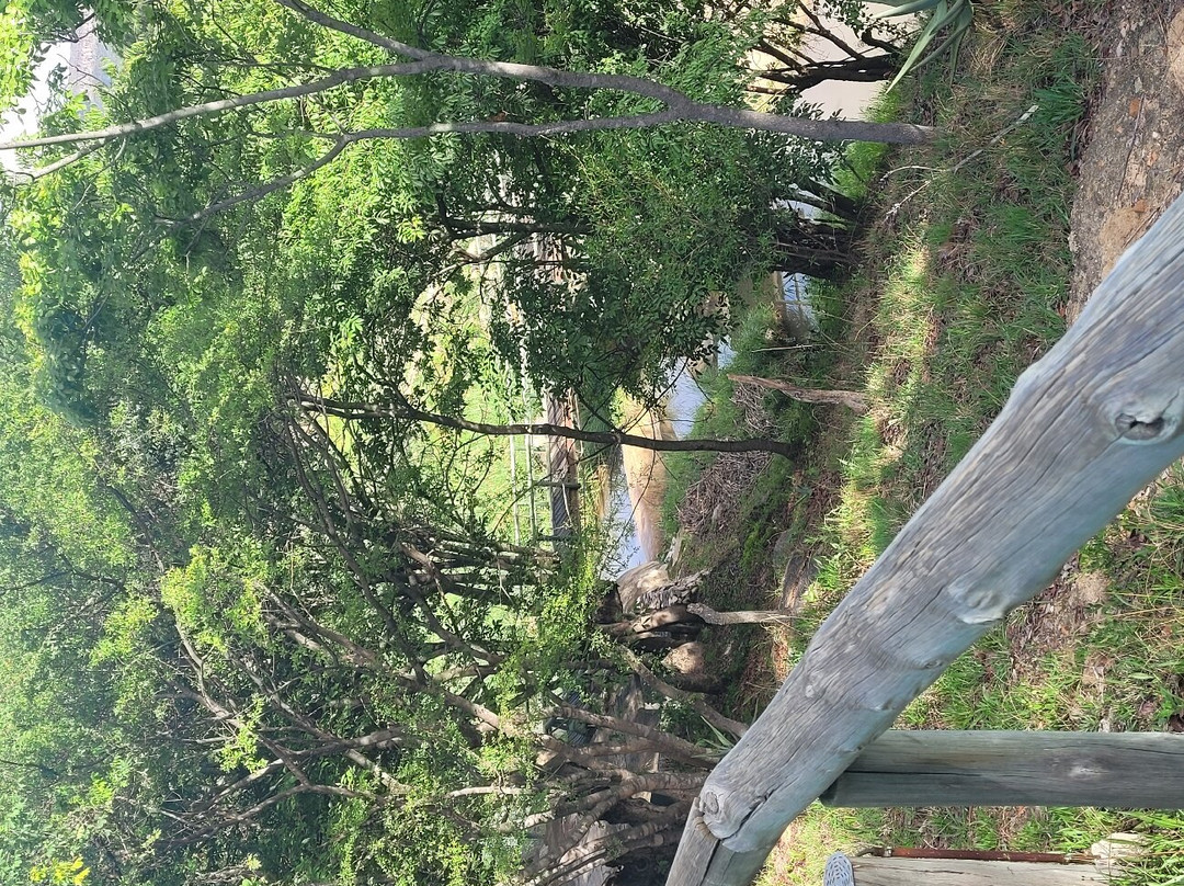 Pululukwa Resort主图