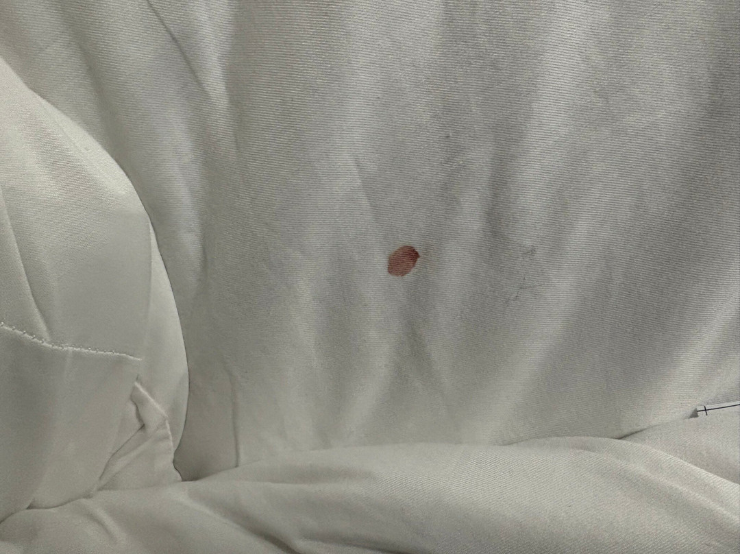 Best Western Plus Kendall Hotel & Suites主图