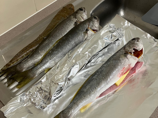 Hooker 1 Fishing Charters-梅因海滩必去景点