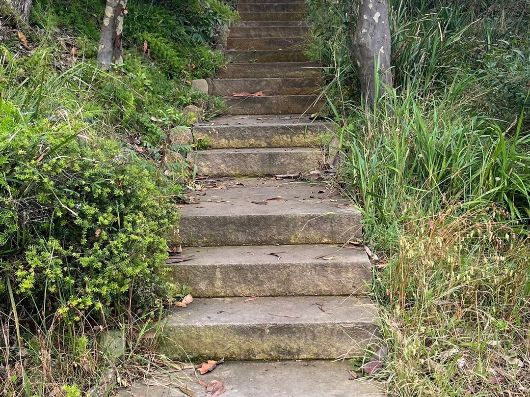 Wangi Circuit Walking Track景点图片
