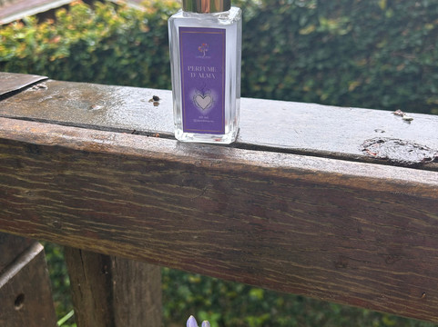 O Jardim Santo-Aracariguama必去景点