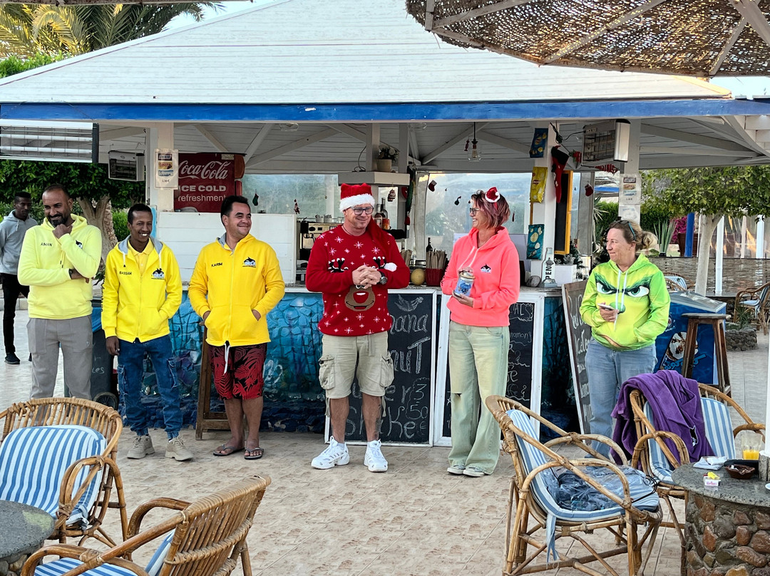 ORCA Dive Club Coral Garden-Safaga必去景点