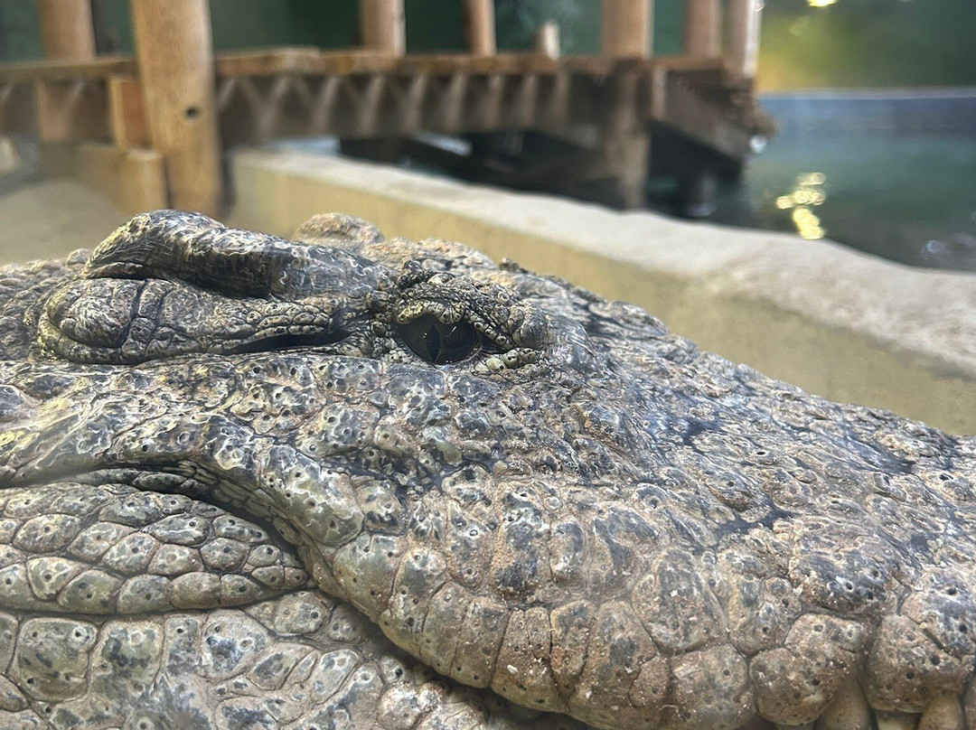 Reptilia Zoo and Education Centre Whitby-Whitby必去景点