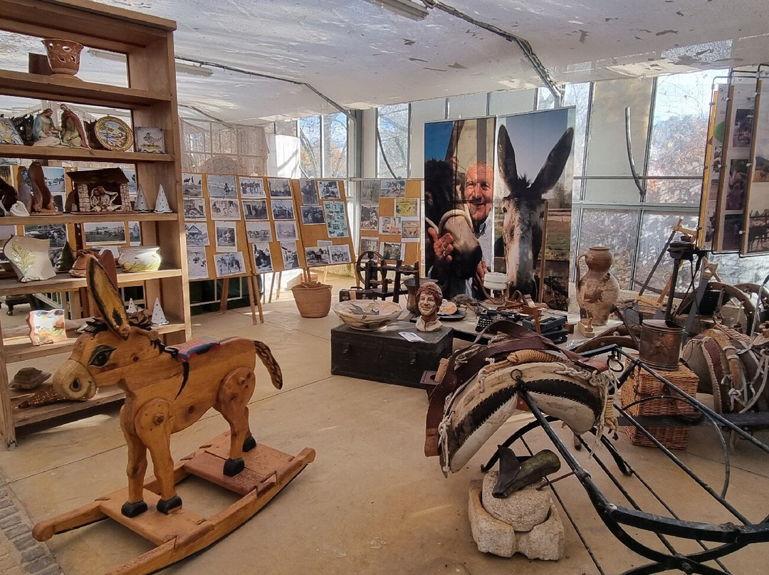 Locanda Dell'Asino D'Oro主图