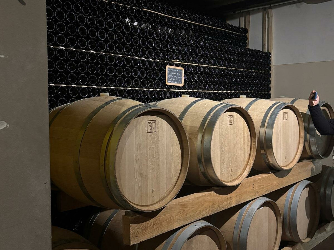 Tenuta & Agriturismo Ambrosini-Cazzago San Martino必去景点
