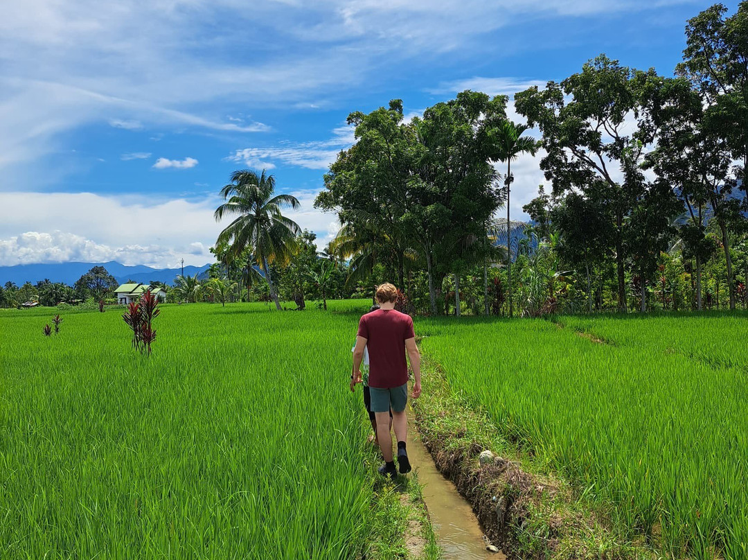 Orangutan Conservation Eco Tours Bukit Lawang-武吉拉旺必去景点