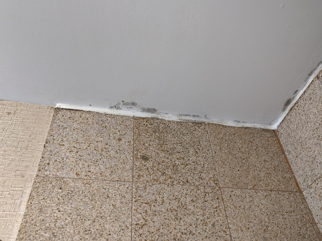 Comfort Suites Roswell主图