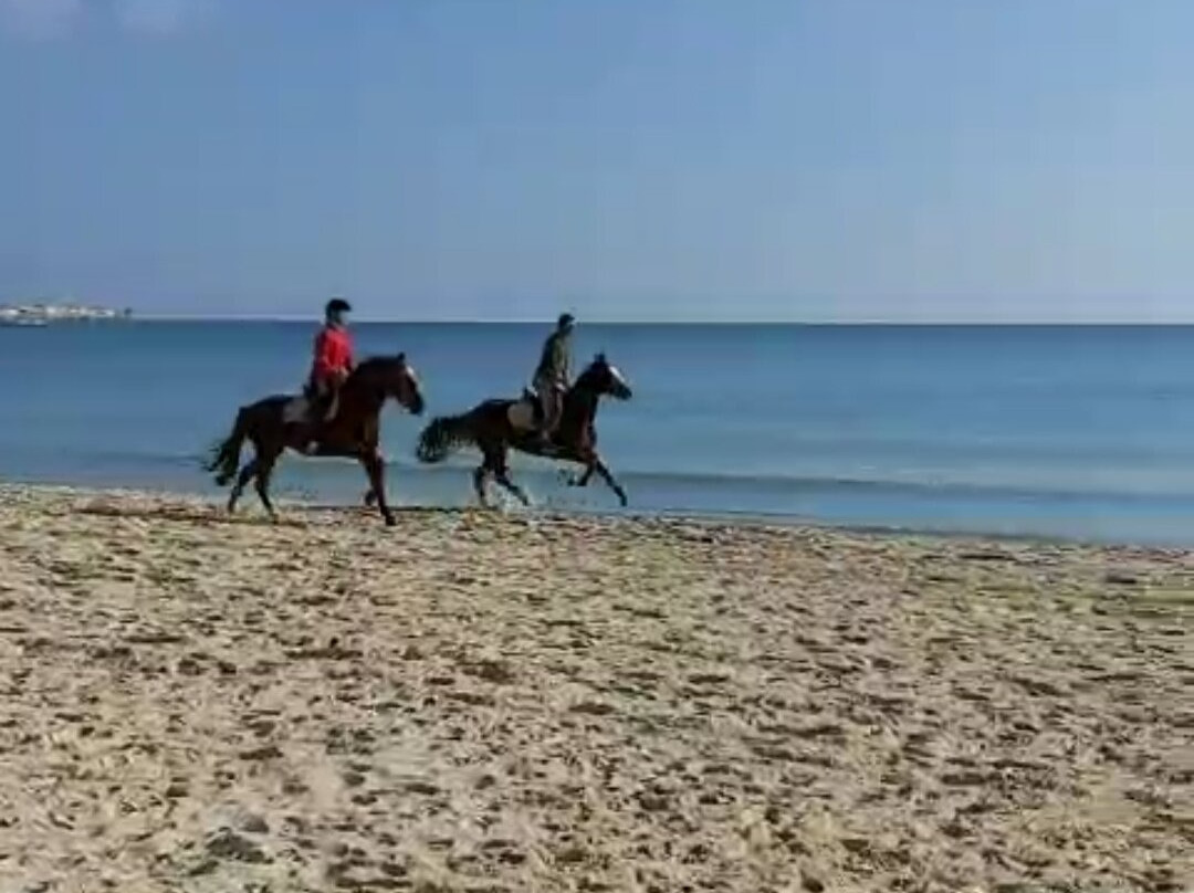 Centre Équestre The Orangers Garden