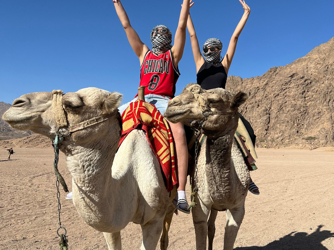 Sun Safari Egypt-沙姆沙伊赫必去景点
