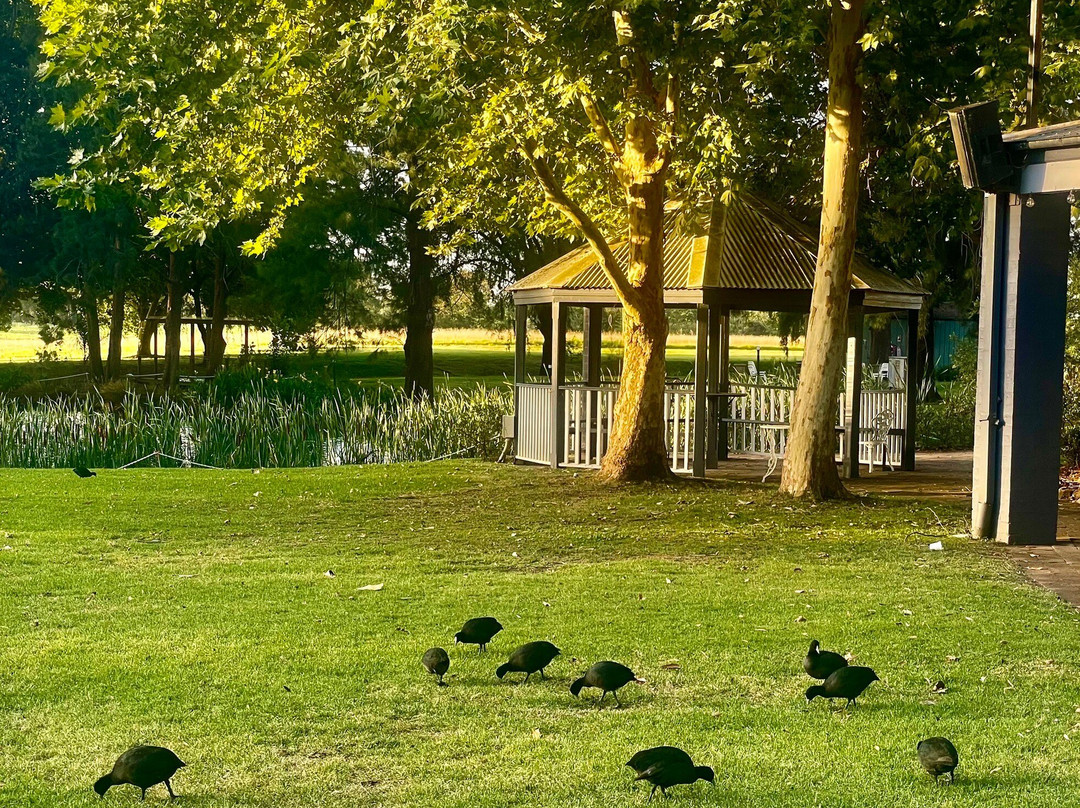 塞贝尔温泉霍兹伯格度假村主图