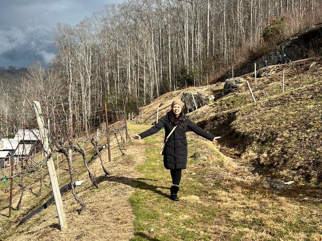 Grandfather Vineyard & Winery景点图片