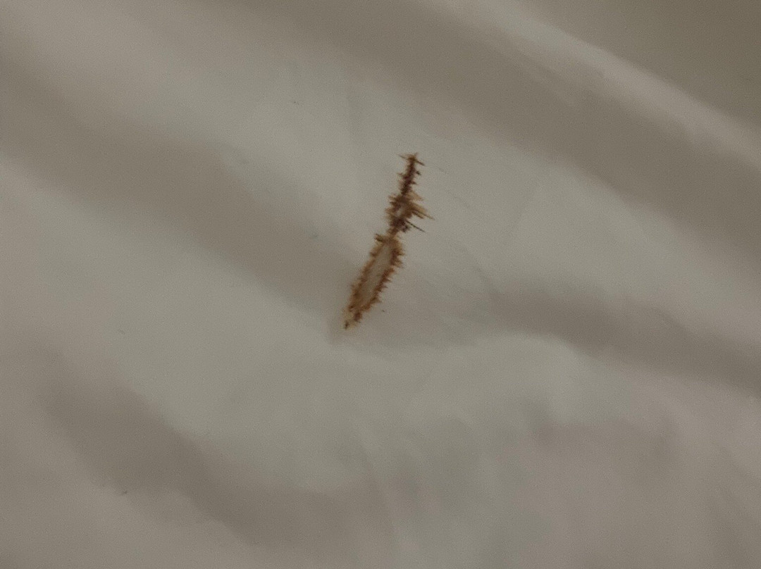 Gold View Beach Resort主图