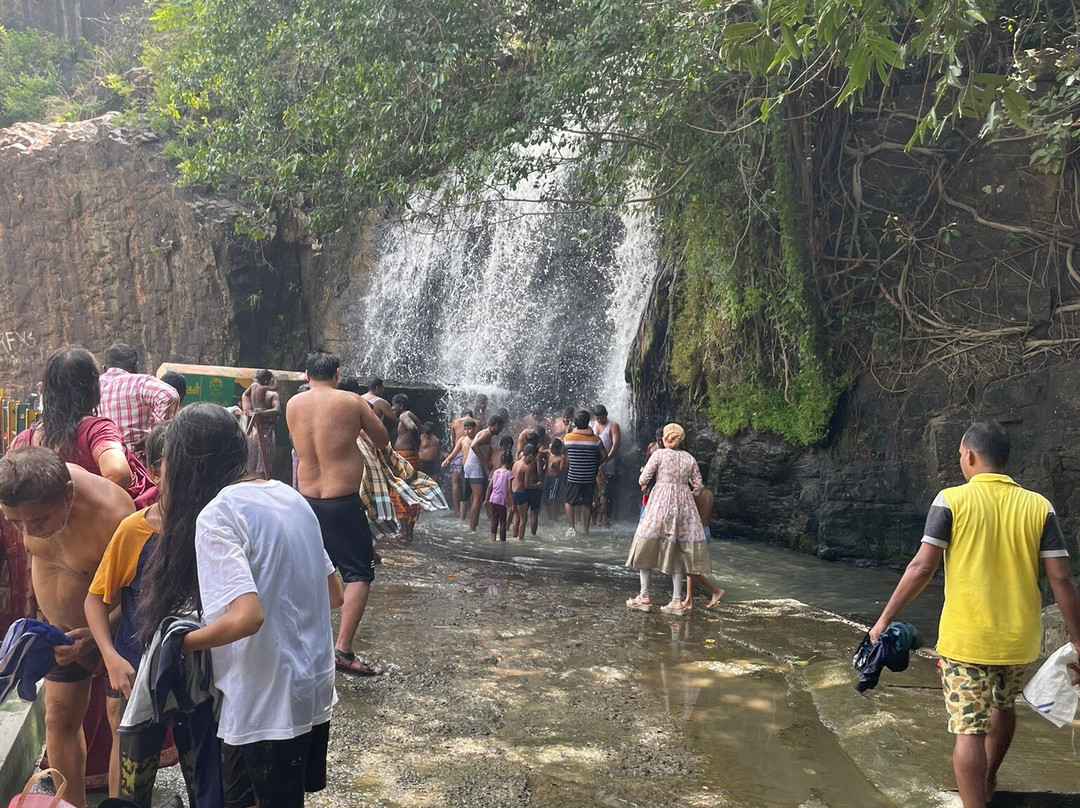 Agasthiyar Falls景点图片