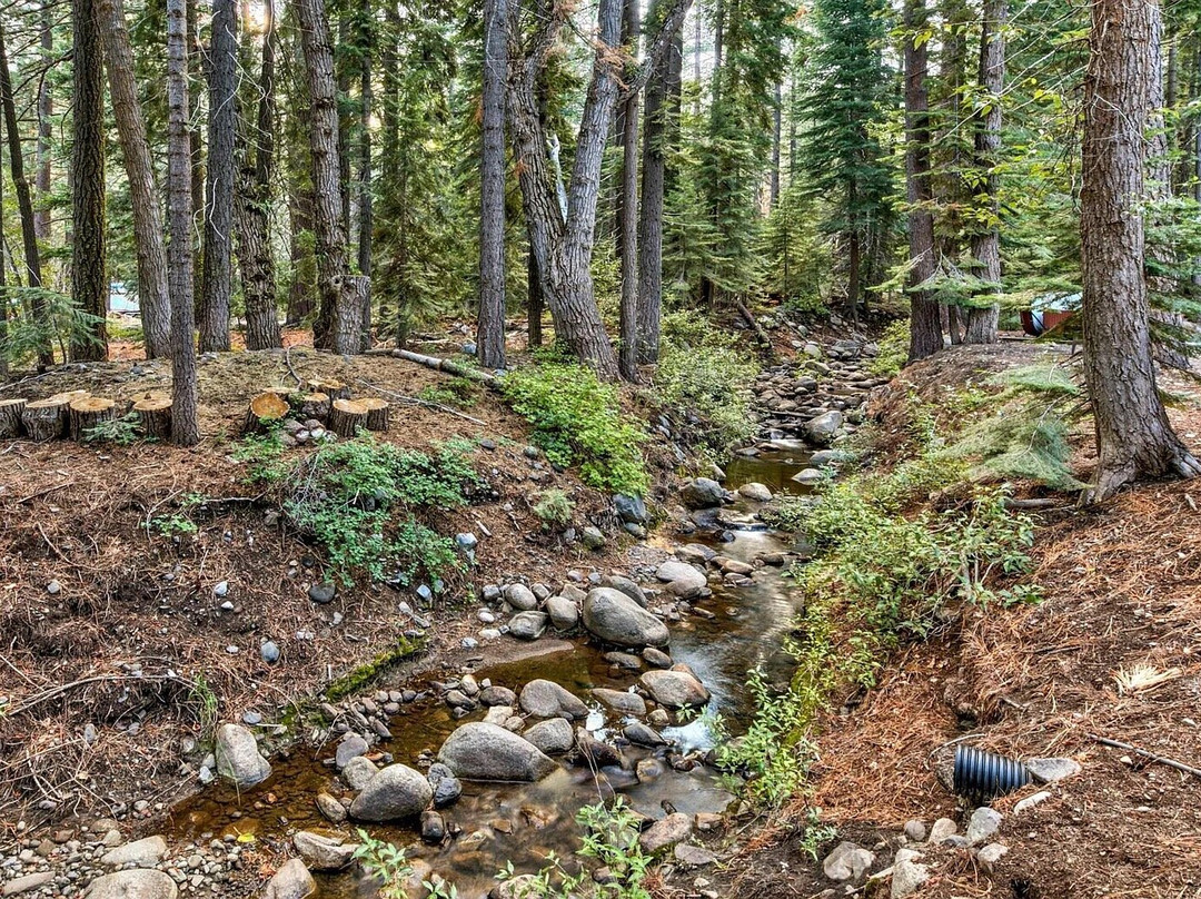 Donner Lake Inn主图