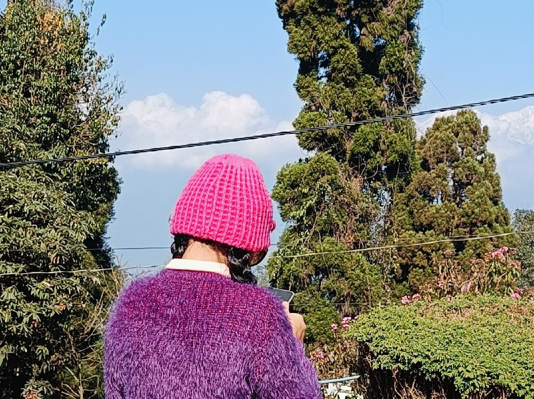 Japanese Peace Pagoda-大吉岭必去景点