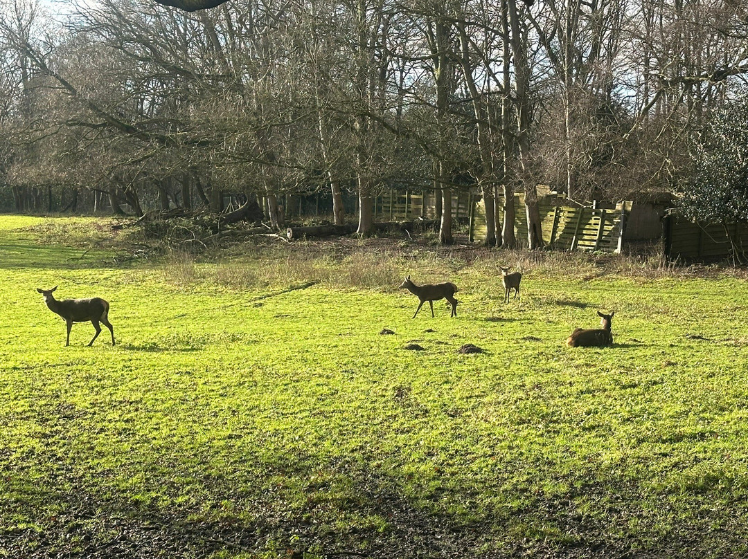 Essex Wildlife Trust Bedfords Park Visitor Centre景点图片