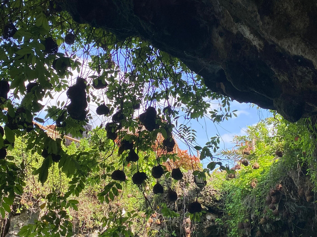 Midovic Tour Guide-桑给巴尔市必去景点