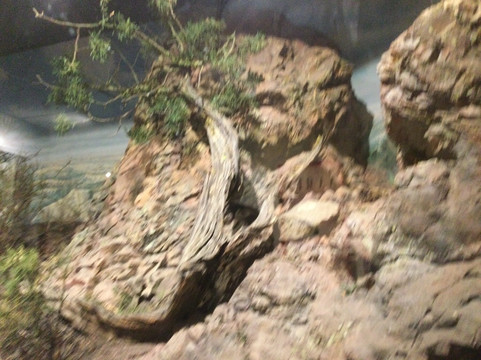 Mount Diablo State Park - Mitchell Canyon Visitor Center-Clayton必去景点