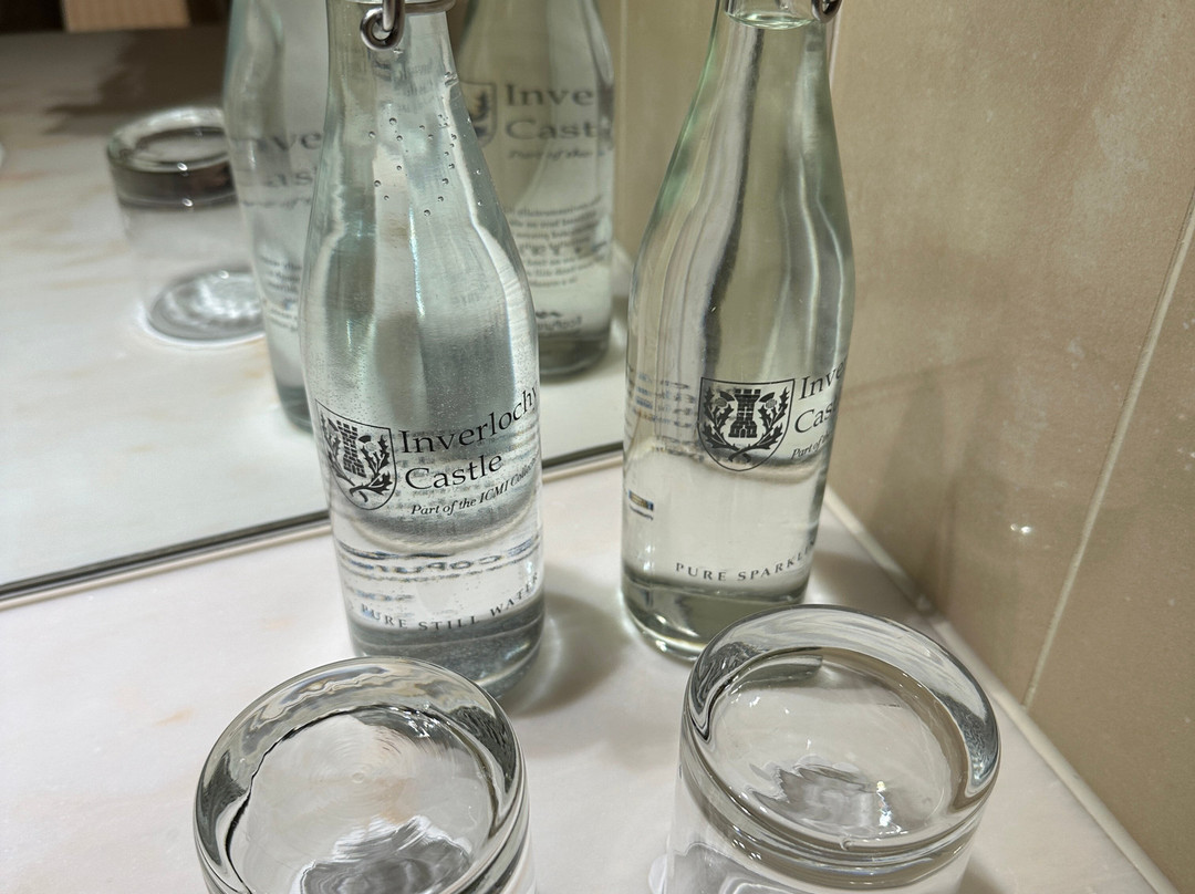 英威尔洛奇城堡酒店主图