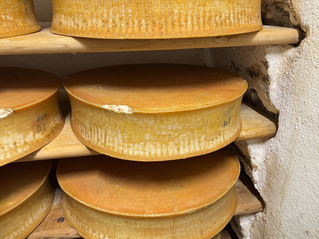 Coopérative Laitière du Beaufortain-Beaufort必去景点