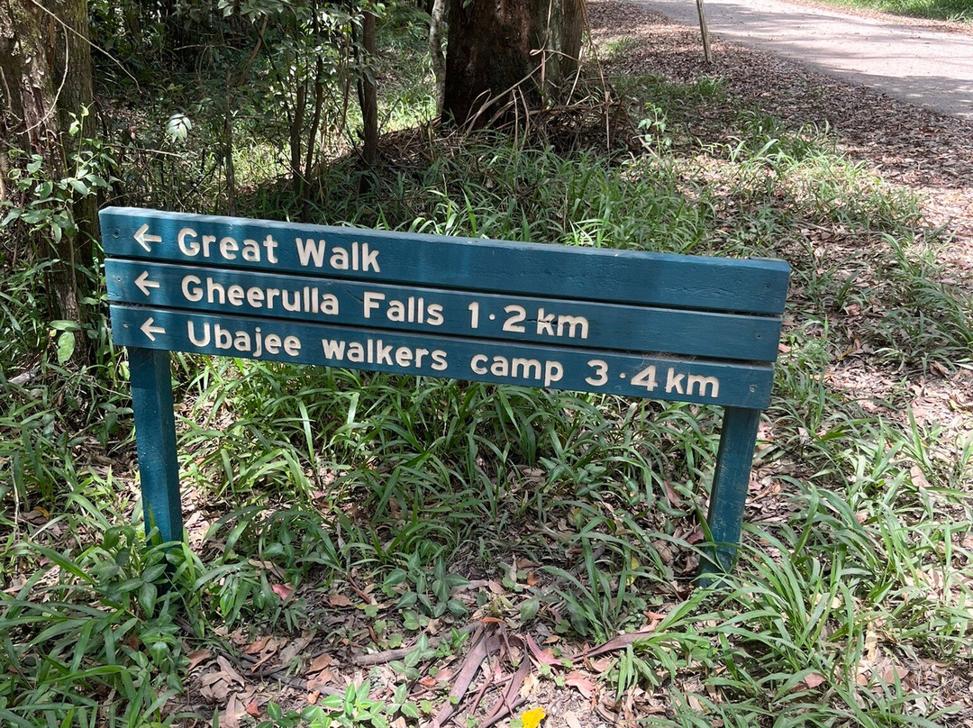 Mapleton Falls National Park景点图片