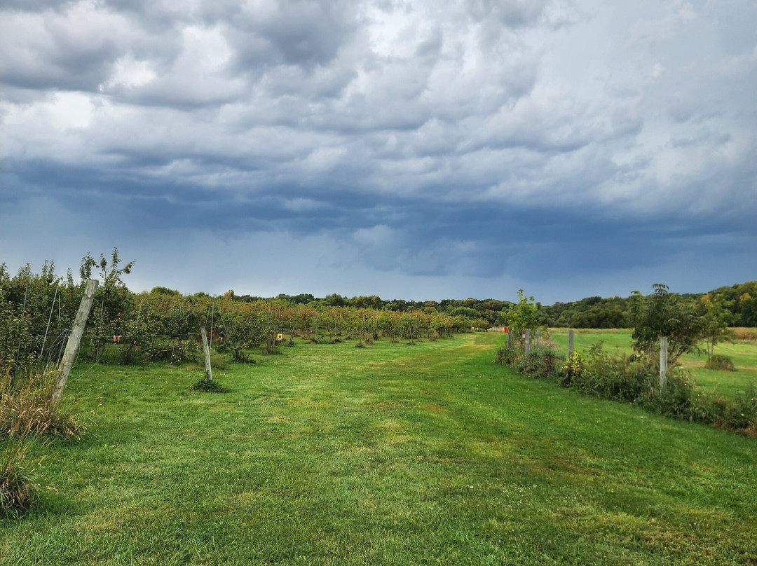 Luceline Orchard-Watertown必去景点