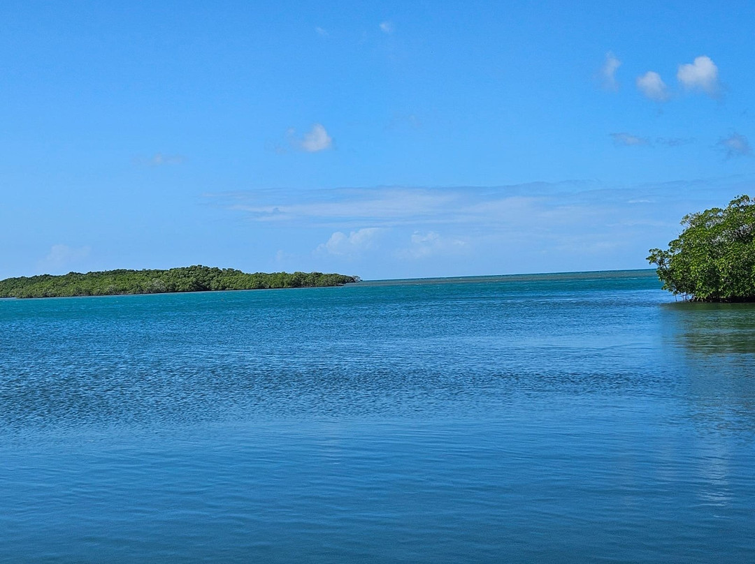 Guadeloupe Evasion Découverte Private Tours景点图片