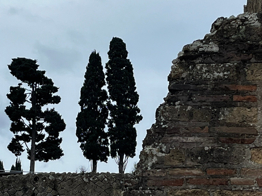 Archeological Park of Herculaneum-埃尔科拉诺必去景点